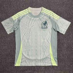 2425 Mexico away game