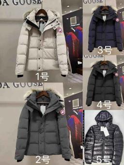 canada goose;